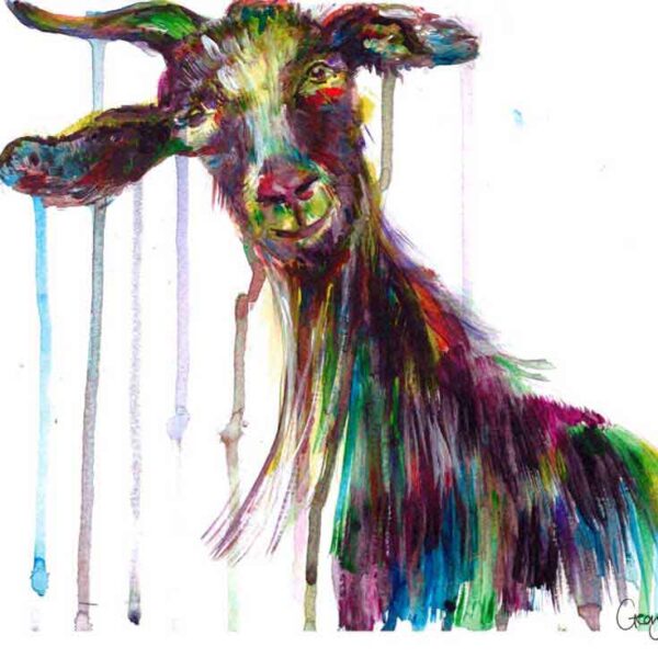 Colourfully painted goat