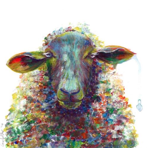 Sirus the Sheep Print