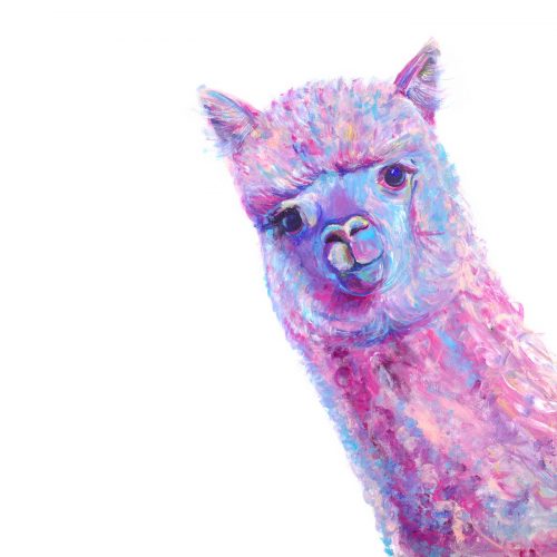 Pink alpaca print on a white background