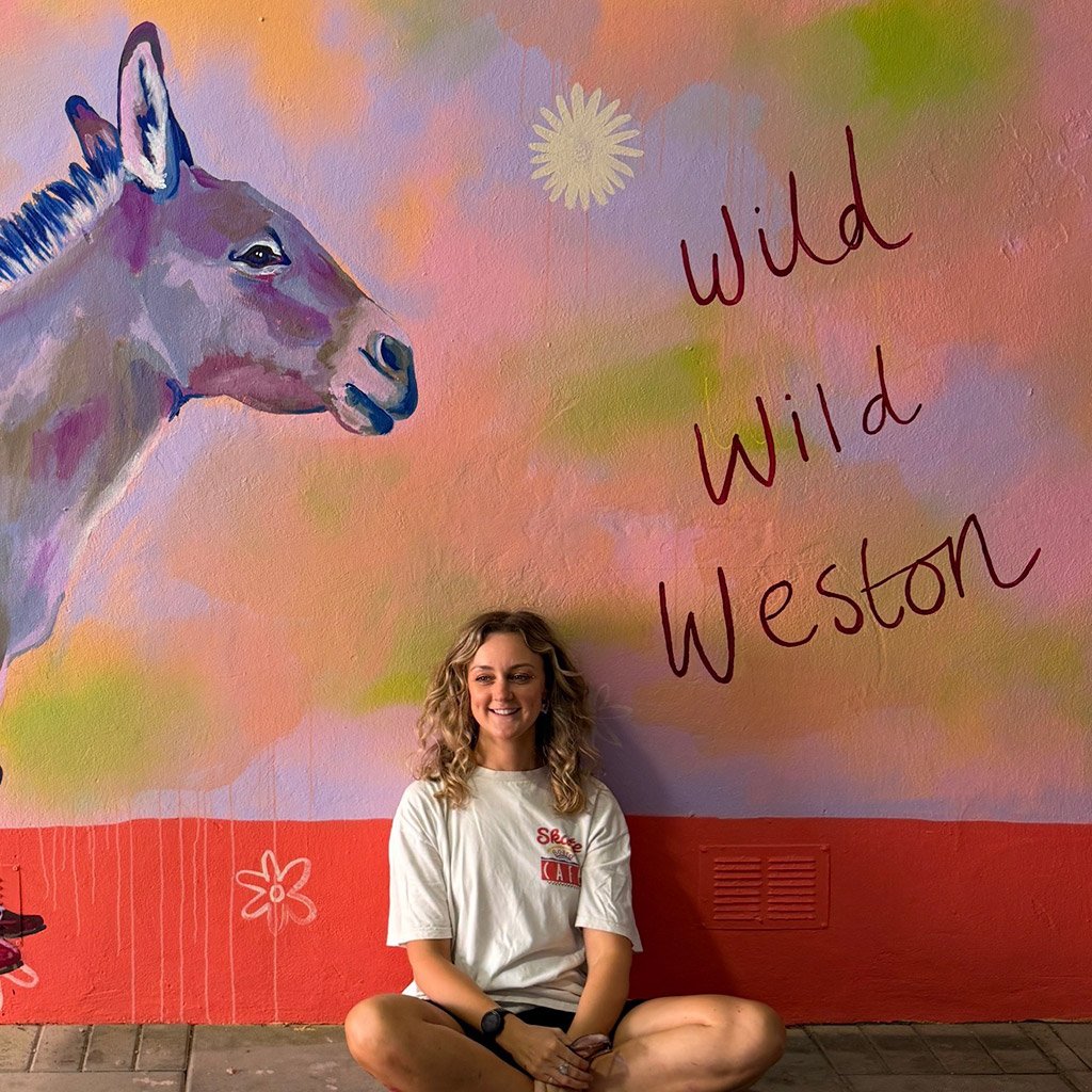 Donkey mural